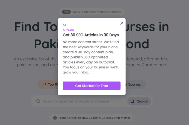 nextjs custom ad script UI